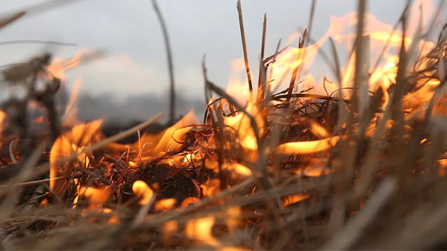 Охинские пожарные ликвидировали горение травы