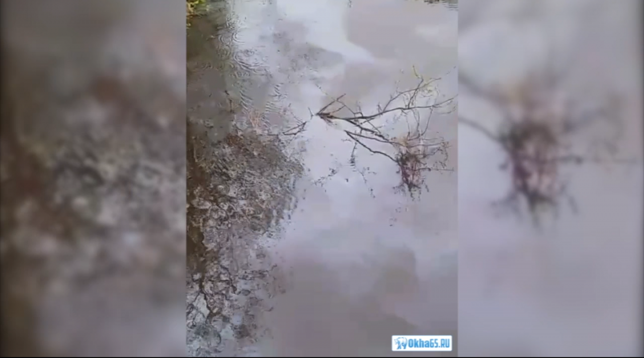 В Ногликском районе по реке Нутово разливаются нефтепродукты