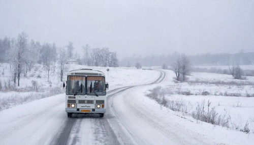 Из-за ухудшения погоды приостановлено движение автобусов Оха &mdash; Ноглики