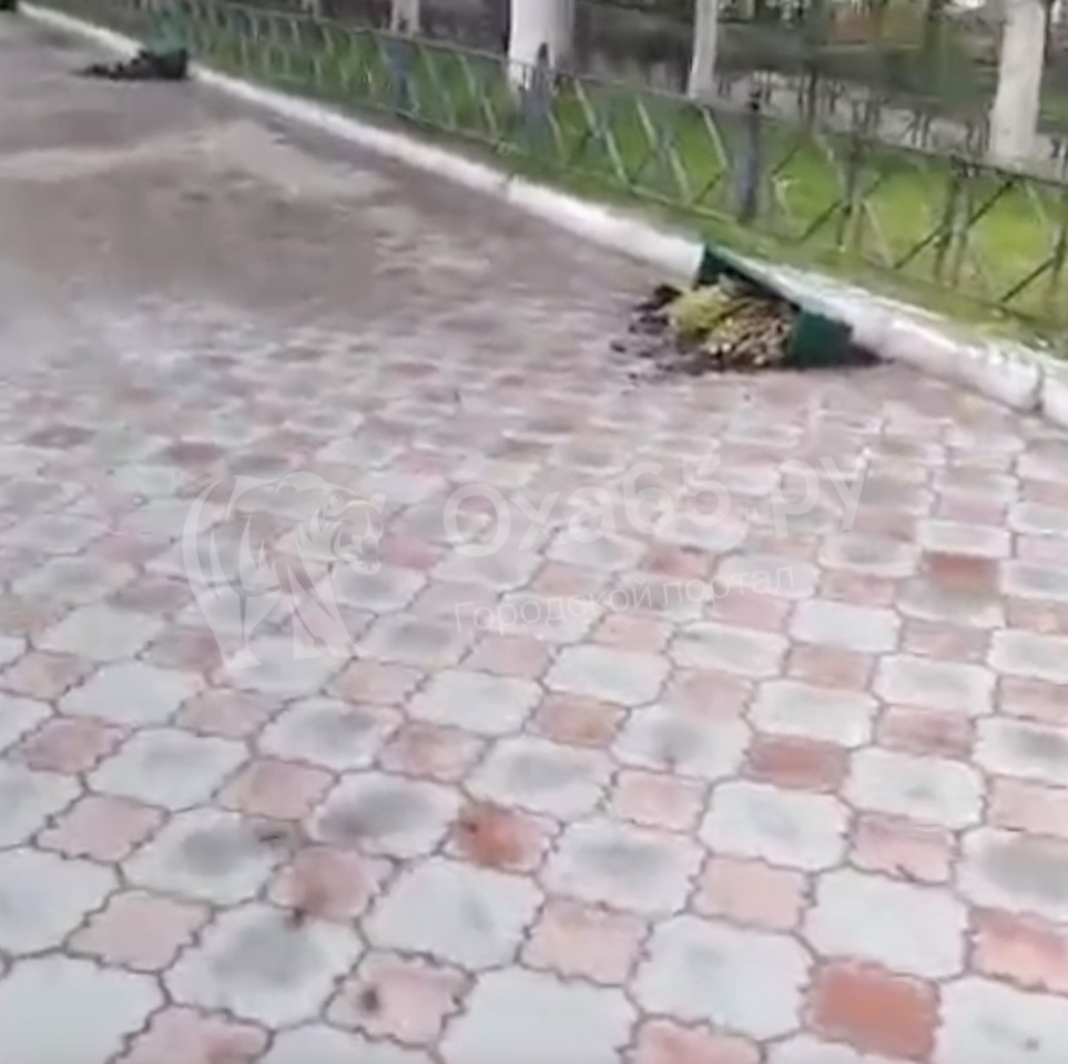 В Охе вандалы сорвали вазоны с цветами на улице Ленина