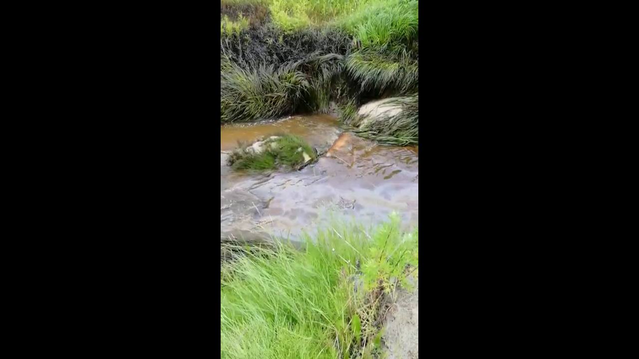 Естественные природные выходы нефти покрывают реку Охинку радужными пятнами