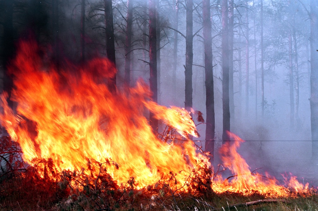 В Охинском районе остановлено распространение лесного пожара
