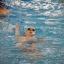 Свыше 50 медалей завоевали сахалинские пловцы на чемпионате и первенстве ДФО 17