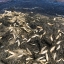На берегу Пильтунского залива произошел массовый выброс корюшки (ОБНОВЛЕНО; ВИДЕО) 2