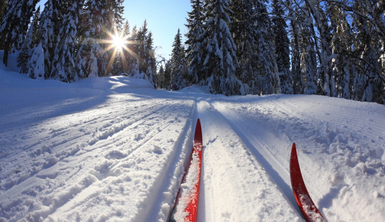 В Охе прошли соревнования по лыжным гонкам в зачет Спартакиады учащихся городского округа