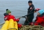 Сахалинские волонтеры обнаружили остатки ставных неводов в месте кормления серых китов на севере острова 1