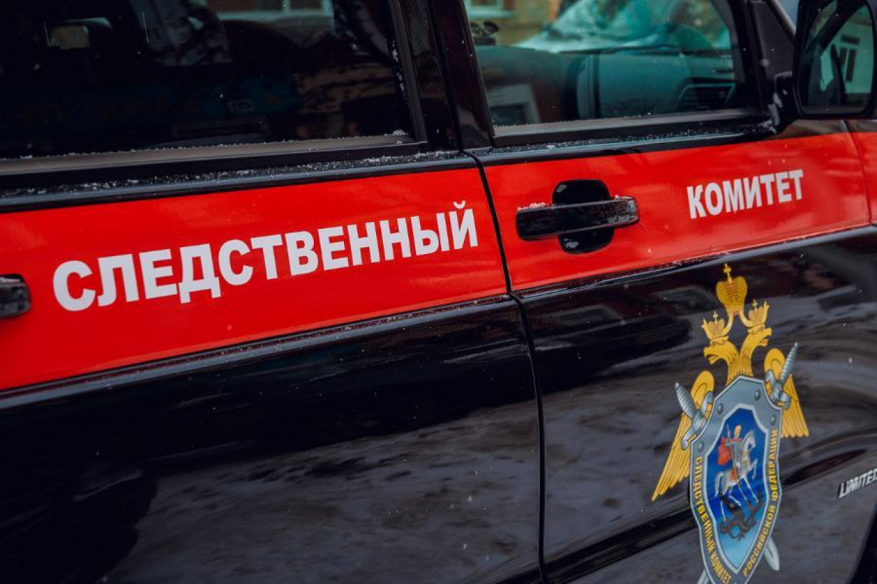 Бастрыкин поручил представить доклад о ходе расследования уголовного дела по факту незаконной охоты в Сахалинской области