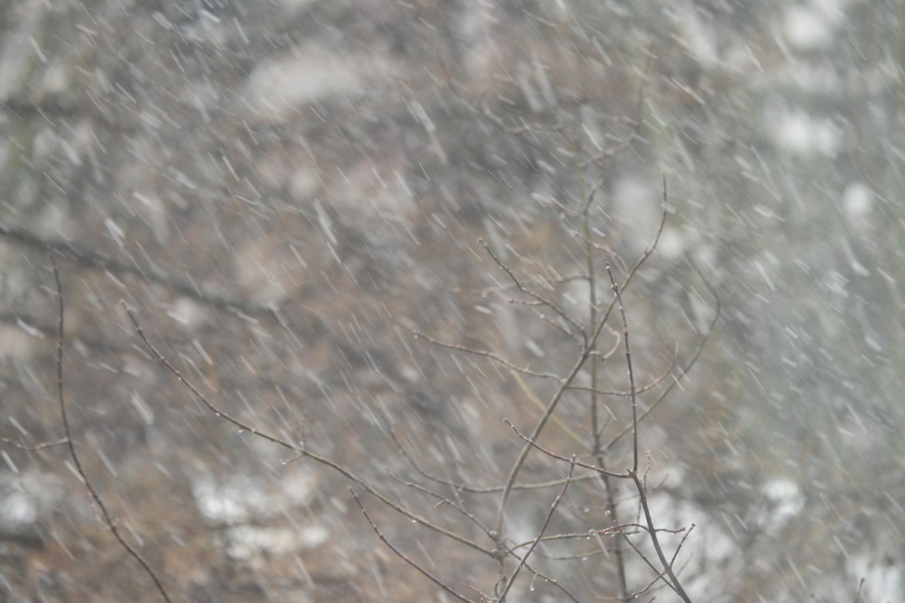 Снег и дождь придут на север Сахалина на следующей неделе