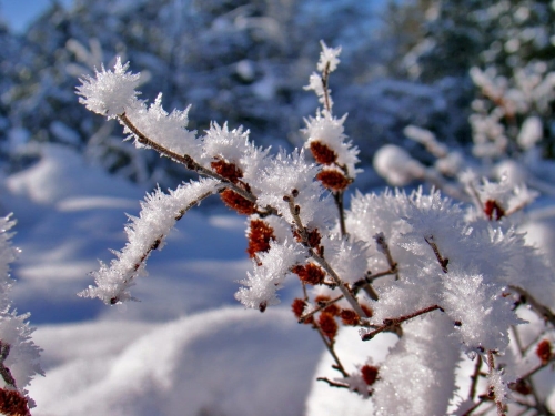 Будет морозно: синоптики озвучили прогноз погоды для Северного Сахалина