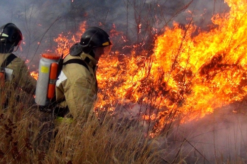 В районе Тунгора разгорелся лесной пожар