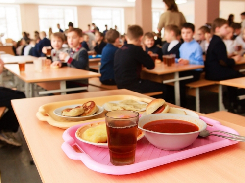 В Охе дети бойцов СВО будут бесплатно получать горячие обеды в школах и посещать детские сады