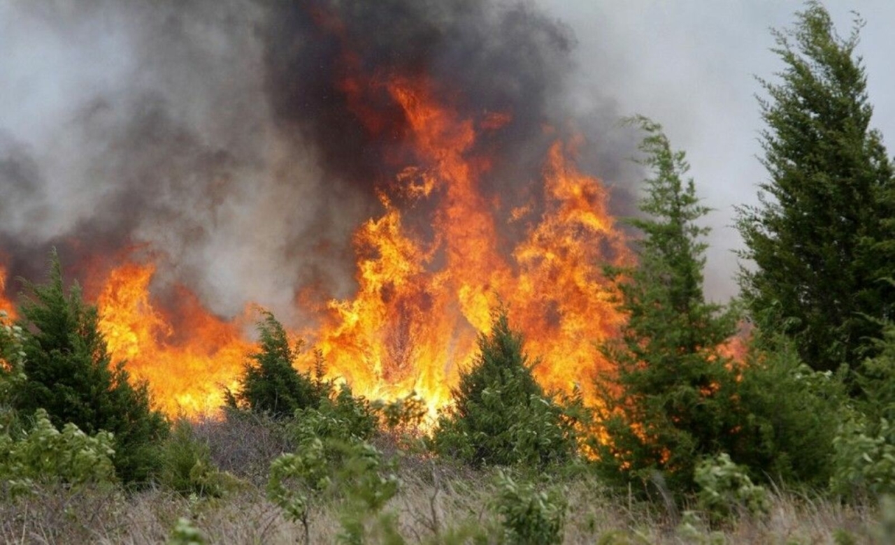 Почти 15 часов тушили лесной пожар на границе Охинского и Ногликского районов
