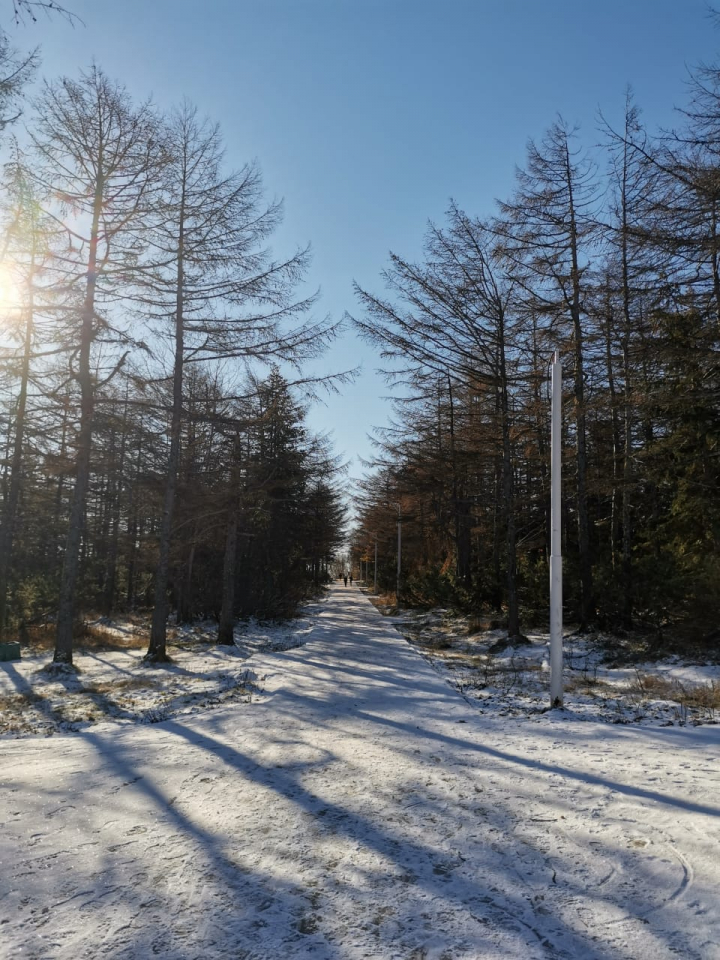 Ветер и небольшой снег придут на север Сахалина на предстоящей неделе