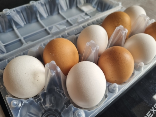 В социальных магазинах Охи продолжают снижаться цены на яйца