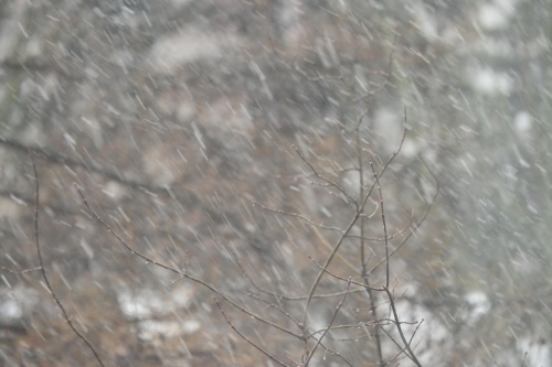 Снег и дождь придут на север Сахалина на следующей неделе