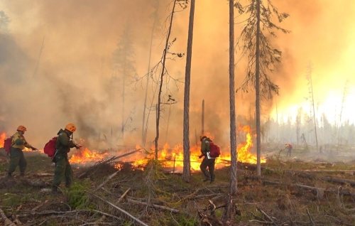 Лесной пожар разгорелся в Охинском районе