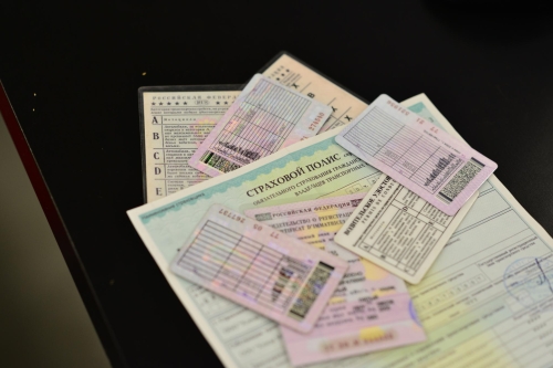 Права «за три дня»: мошенники создали более 200 сайтов для обмана желающих получить водительское удостоверение