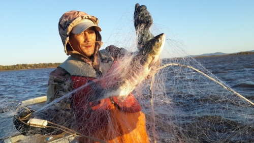 Сахалинским КМНС разрешат рыбалку на запрещенных для промышленников участках