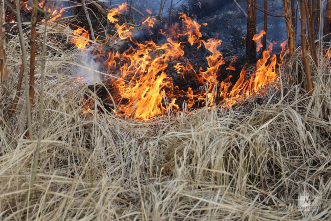 В Охе на улице Комсомольской горело 70 квадратных метров сухой травы