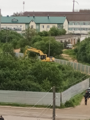 Жители Охи озадачились законностью вырубки многолетних деревьев на участке под строительство домов