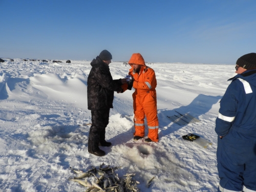 Охинским рыбакам напоминают, что выезд на лед грозит серьезными штрафами